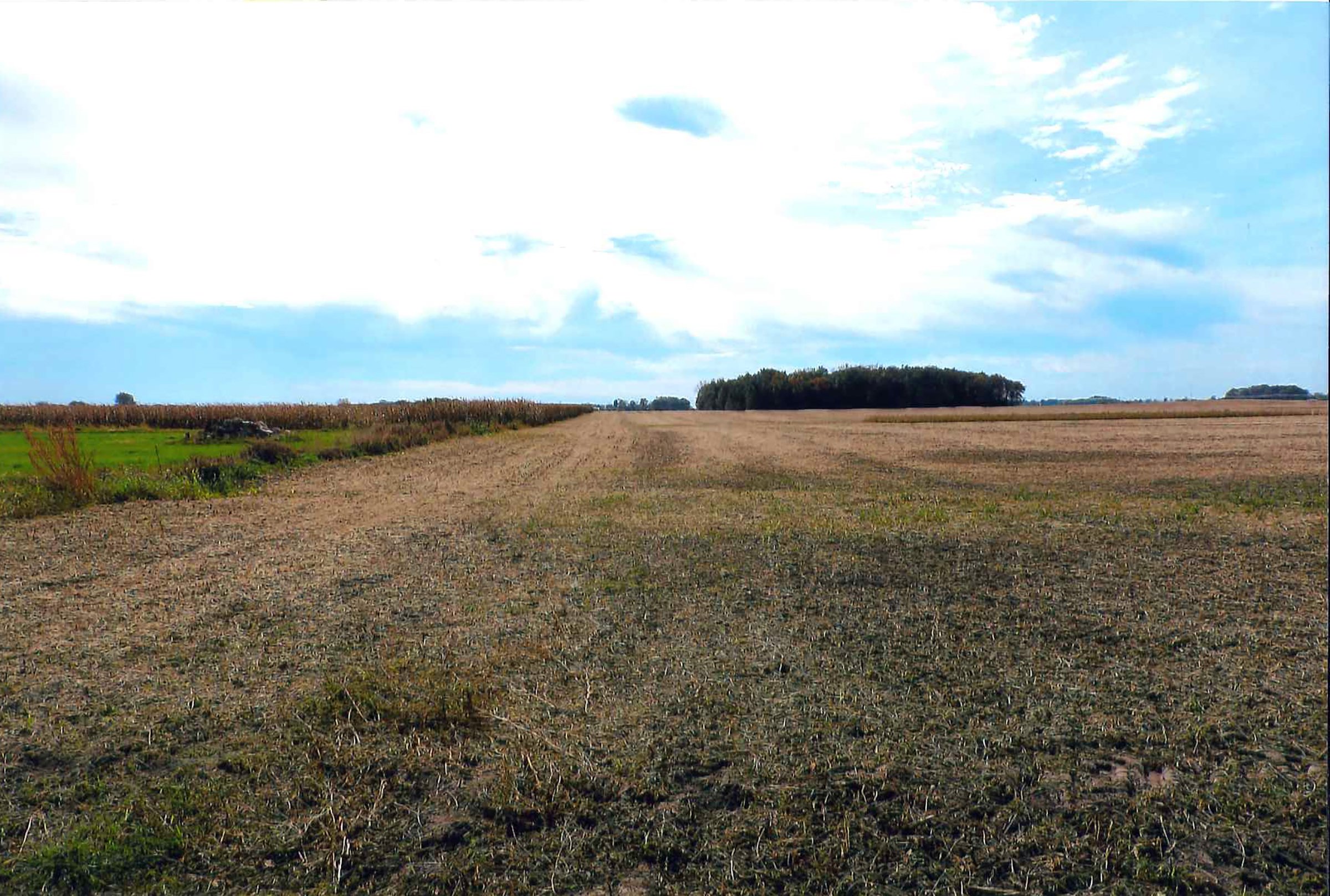 Property photo 2 - LAND AUCTION - 180+/- ACRES OFFERED IN 5 TRACTS IN WHITE COUNTY, INDIANA
